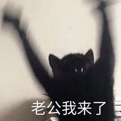 这是一张经过文字加注的静态表情包，主体是一只黑色猫咪，它双眼圆睁，两只前爪高高举起，呈现出兴奋扑跃的姿态，图片下方配有醒目的白色文字“老公我来了”。该表情包风格活泼亲昵，多用于伴侣之间的社交互动中，生动传递出见到对方时的激动、欣喜与亲昵的情绪，适合表达急切想要见到爱人的心情。