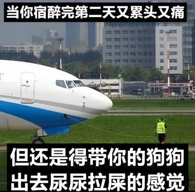 图片展示了一架大型客机停在机场跑道上，一名穿着黄色反光背心的工作人员正用一根绳子试图拉动飞机，形成一种滑稽的视觉对比。图片上方配有文字“当你宿醉完第二天又累头又痛”，下方配有文字“但还是得带你的狗狗出去尿尿拉屎的感觉”，通过夸张的视觉隐喻，幽默地表达了宿醉后身体不适却仍需履行遛狗责任的无奈与挣扎。