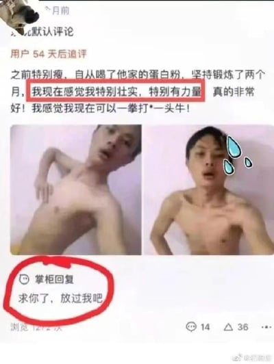 这是一张来自电商平台的用户追评截图，属于图文混排的搞笑内容。买家在购买蛋白粉54天后追评，称自己之前特别瘦，喝了该店蛋白粉并坚持锻炼两个月后，感觉自己特别壮实有力量，甚至放话“我感觉我现在可以一拳打*一头牛”，同时附上了自己的左右对比图，但从图片来看，买家的身材并没有明显变壮，依旧十分瘦弱，这种自我认知和实际情况的强烈反差形成了第一个笑点；而卖家的回复“求你了，放过我吧”则充满了无奈，进一步放大了搞笑效果，整个内容通过买家的夸张自评、与实际身材的反差，以及卖家的无奈回复，营造出荒诞又好笑的氛围。