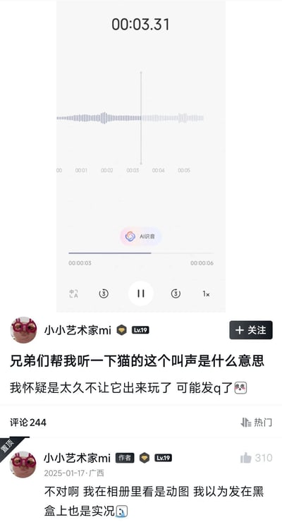 这是一张竖屏格式的社交媒体帖子截图，界面上方展示了一条时长为00:03.31的语音波形图，带有AI识音进度条与播放控制按钮；发帖用户是等级Lv19的“小小艺术家mi”，主帖配文请求网友帮忙辨认图中猫叫声的含义，发帖人猜测猫咪是因为太久没出门玩耍，出现了发情的表现；下方作者置顶了自己的补充评论，说明自己原本在相册里查看这是带声音的实况动图，误以为发到黑盒平台也会保留实况声音，最终只发出了无声的语音波形，闹出了乌龙；整个内容的笑点在于发帖人想要邀请大家听猫叫，却只产出了无法播放声音的内容，结合“动图本来就没有声音”的吐槽形成了趣味效果。