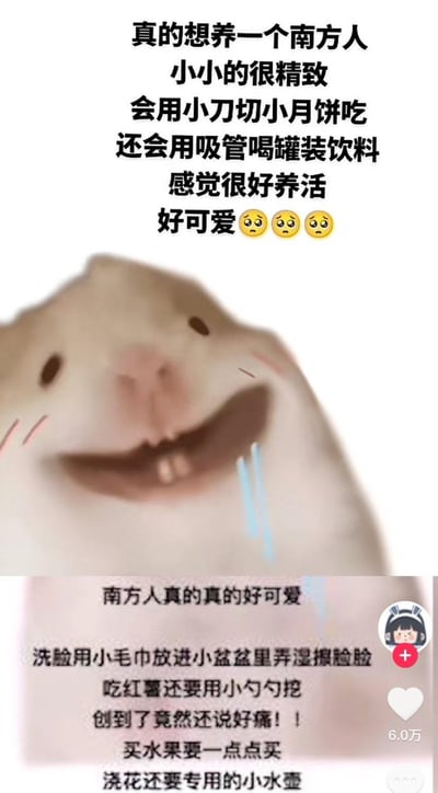 这是一张幽默搞笑的梗图，上方是黑色文字："真的想养一个南方人 小小的很精致 会用小刀切小月饼吃 还会用吸管喝罐装饮料 感觉很好养活 好可爱🥺🥺🥺"，中间是一只表情开心、嘴角流口水的卡通仓鼠图片，下方还有补充文字："南方人真的真的好可爱 洗脸用小毛巾放进小盆盆里弄湿擦脸脸 吃红薯还要用小勺勺挖 创到了竟然还说好痛！！ 买水果要一点点买 浇花还要专用的小水壶"。图片通过将南方人比喻成可爱的小宠物，用夸张幽默的方式展现了一些关于南方人生活习惯的刻板印象，整体风格轻松有趣。