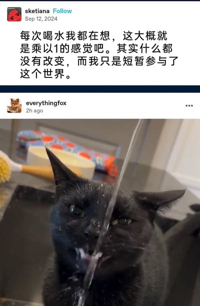 这是一张由两部分社交媒体内容拼接而成的图文，上半部分是用户sketiana在2024年9月12日发布的一段带有文艺感的个人感慨：“每次喝水我都在想，这大概就是乘以1的感觉吧。其实什么都没有改变，而我只是短暂参与了这个世界。”；下半部分是用户everythingfox发布的视频截图，画面里一只黑猫正凑在水流前喝水，脸上沾着水珠，表情懵懂，背景是厨房台面，摆放着清洁刷、碗具和带图案的物品，这个可爱的猫咪喝水场景，正好具象化了上半部分关于喝水、短暂参与世界的文艺感慨，形成有趣的呼应。