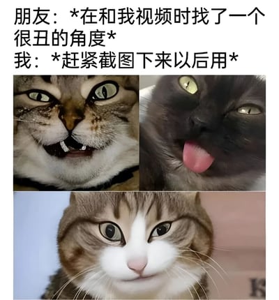 这是一张幽默的猫咪表情包，上方配有文字描述朋友在视频通话时找了很丑的角度，而自己赶紧截图保存的有趣场景。图片下方由三张猫咪照片组成：左上角猫咪露出牙齿做狰狞表情，右上角猫咪吐着舌头眨眼，底部猫咪则表情严肃地直视前方，形成有趣的对比和呼应。
