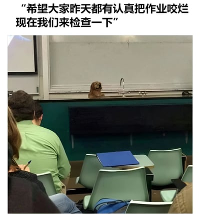 一张幽默的教室场景图片，讲台上坐着一只狗，配文'希望大家昨天都有认真把作业咬烂 现在我们来检查一下'，玩了'狗吃了我的作业'这个经典借口的梗。