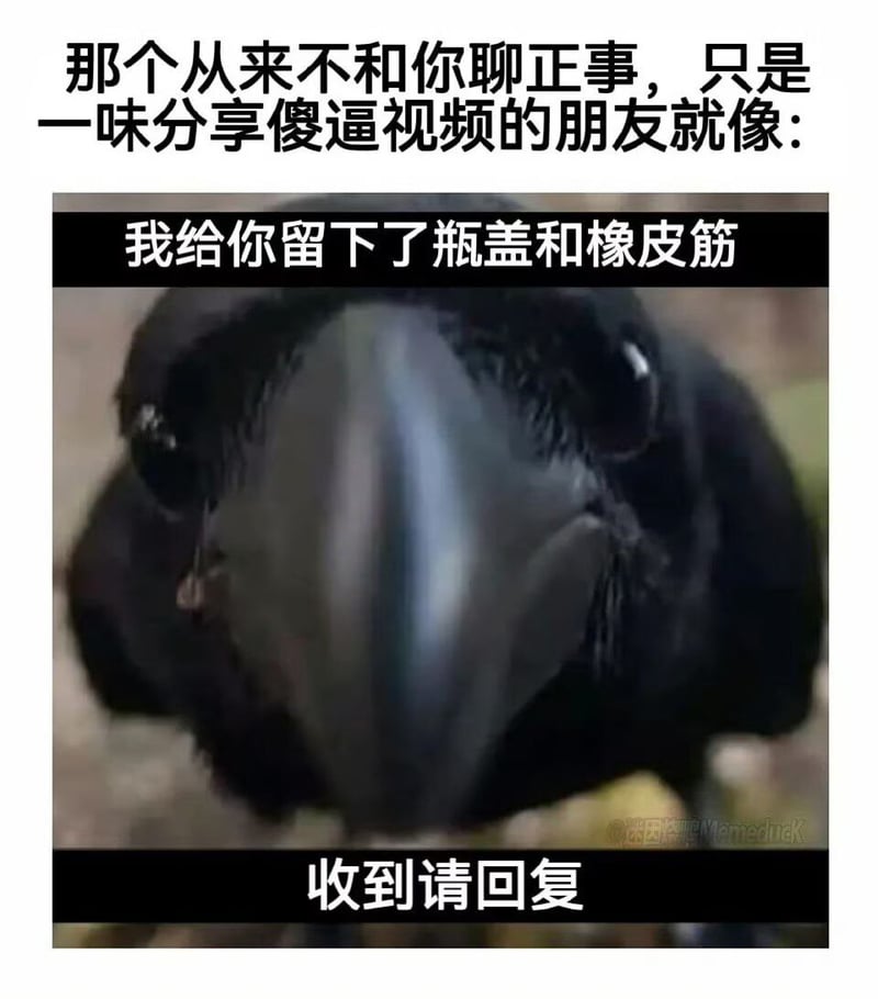 乌鸦