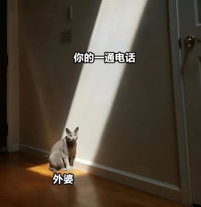 图片中一只灰色猫咪安静地坐在室内墙角，一道明亮的阳光光束斜照在墙面上，形成温暖的光影效果。猫咪上方有文字“你的一通电话”，下方有文字“外婆”，通过猫咪静坐等待的姿态，巧妙比喻外婆期盼亲人来电的温馨场景，传递出对长辈的思念与亲情关怀。