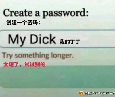 这是一张模拟网页密码设置界面的静态文字加注图，界面上方有中英文对照的“创建一个密码：”提示，用户在输入框中填写了英文“My Dick”及对应的中文翻译“我的丁丁”，下方系统给出中英文对照的提示“太短了，试试别的（Try something longer.）”。图中利用双关梗制造笑点，系统原本是提示密码长度不符合要求，需要设置更长的密码，但结合输入的内容，被调侃成是在暗示“丁丁太短”，形成了低俗又搞笑的反差效果，适合在社交平台上传播以博人一笑。