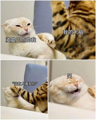 这是一张由三格组成的连环猫咪表情包，第一格呈现出凌晨三点疲惫瘫坐的白猫（代表此时的“我”）和伸出爪子的虎斑猫（代表“我的大脑”）；第二格中虎斑猫的爪子戳向白猫的脸部，配文“没有人喜欢你”，模拟大脑冒出的负面想法；第三格白猫紧闭双眼，露出委屈哭泣的神态，配文“哭”，生动还原了深夜时分人们不受控制地被负面思绪侵袭、陷入情绪内耗的状态，精准戳中很多人深夜emo时的感受，引发强烈共鸣。