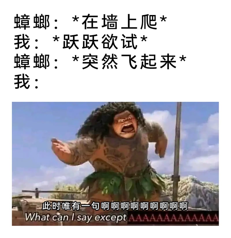 海洋奇缘