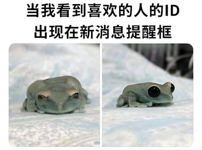 这是一张左右对比的图文混排梗图，上方配有文字“当我看到喜欢的人的ID出现在新消息提醒框”。左侧图片中，一只浅绿色青蛙趴在浅色表面上，眼睛半眯，呈现出慵懒、困倦的状态；右侧图片中，同一只青蛙眼睛瞪得又大又圆，身体微微抬起，表现出突然警觉、惊喜的反应。通过青蛙前后神态的鲜明对比，幽默地展现了人们看到喜欢的人发来消息时瞬间从平静到兴奋的心理变化。