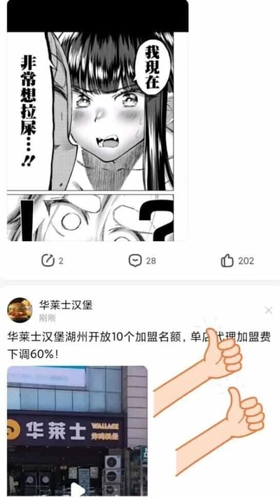 这是一张由两部分内容拼接而成的趣味梗图，上半部分是黑白日式风格的漫画分镜，画面中的女性角色眉头紧皱、脸颊泛红，露出痛苦的神情，配有对白气泡“我现在”和竖排文字“非常想拉屎…!!”，漫画下方带有2个收藏、28条评论、202个点赞的社交媒体互动按钮；下半部分是华莱士汉堡的加盟推广内容，账号名称为“华莱士汉堡”，标注发布时间为“刚刚”，推广文案为“华莱士汉堡湖州开放10个加盟名额，单店代理加盟费下调60%!”，下方配有华莱士线下门店的实拍视频截图，还添加了两个竖起大拇指的卡通手臂图案。这张图利用网络上关于“吃华莱士后容易腹泻”的调侃梗，将漫画的排便诉求与华莱士的推广内容进行联动，形成趣味反差，制造搞笑效果。