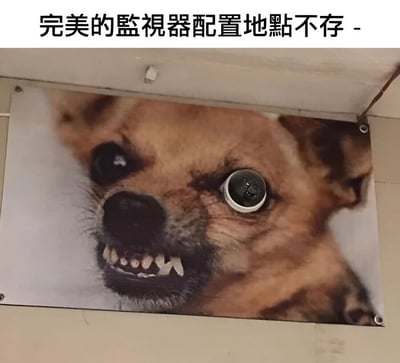 图片上方有文字'完美的監視器配置地點不存 -'，下方是一张经过编辑的狗脸图片。狗的一只眼睛被替换成了监控摄像头的镜头，镜头呈现黑色圆形，带有金属边框，与狗原本的眼睛形成强烈对比。狗狗露出尖锐的牙齿，表情看起来既凶狠又滑稽，整体营造出一种戏谑的幽默效果，暗讽寻找完美监控位置的困难或监控无处不在的现象。
