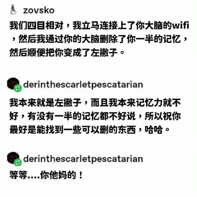 这是一张模拟聊天记录的梗图，展示了两个用户的幽默对话。用户“zovsko”先发消息称“我们四目相对，我立马连接上了你大脑的wifi，然后我通过你的大脑删除了你一半的记忆，然后顺便把你变成了左撇子。”，随后用户“derinthesacarletpescatarian”回复“我本来就是左撇子，而且我本来记忆力就不好，有没有一半的记忆都不好说，所以祝你最好是能找到一些可以删的东西，哈哈。”，紧接着又补了一句“等等....你他妈的！”，形成了先调侃后突然反应过来的反转笑点。
