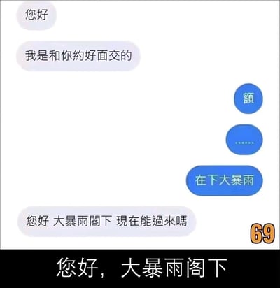 一张聊天记录截图，展示了一段有趣的对话。一方先打招呼并表明是约好面交的人，另一方回复说"在下大暴雨"，而对方则幽默地称呼其为"大暴雨阁下"并询问是否能过来。图片底部还有"您好，大暴雨阁下"的文字。

这里使用了语言误解的幽默手法，将"在下大暴雨"这句话中的"在下"从原本表示"现在正在下"的意思，误解为古代对自己的谦称，从而产生了"大暴雨阁下"这一诙谐的称呼。