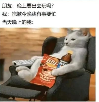 这张梗图通过文字与图片的幽默对比，展示了一个常见的社交场景：朋友邀请晚上出去玩，"我"以有事要忙为由拒绝，结果当天晚上却舒服地坐在椅子上，抱着薯片和饮料，脚踩遥控器悠闲地看电视。图片中一只白猫拟人化地呈现了这种"口是心非"的状态，形成了有趣的反差萌效果。