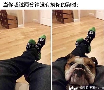 这是一张左右对比的搞笑萌宠类图片，左侧画面呈现人的双腿自然分开的状态，右侧画面中一只斗牛犬挤在人的双腿之间，露出委屈又略带不满的脸，图片上方配文“当你超过两分钟没有摸你的狗时：”，通过前后画面的反差，夸张地表现出狗狗粘人、渴望主人关注与抚摸的可爱状态，用幽默的方式展现宠物对主人的依赖，十分治愈搞笑。