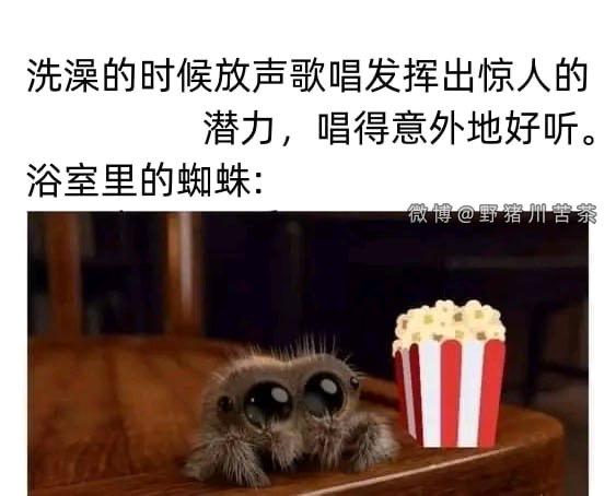 真实动物改编网络表情包
