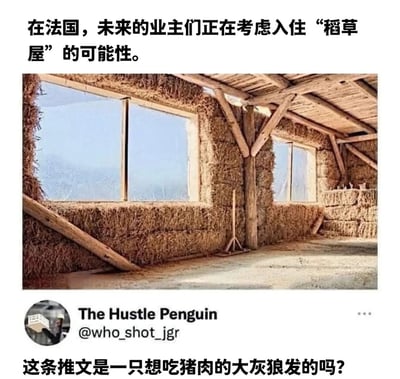 图片上方文字称“在法国，未来的业主们正在考虑入住‘稻草屋’的可能性”，中间是一张稻草屋内部照片，可见由稻草捆堆砌的墙壁、木质房梁和窗户，光线明亮。下方显示Twitter账号“The Hustle Penguin @who_shot_jgr”及文字“这条推文是一只想吃猪肉的大灰狼发的吗?”，暗讽“稻草屋”让人联想到《三只小猪》中被大灰狼吹倒的稻草房，带有幽默调侃意味。