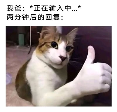 这是一张趣味图文混排的P图表情包，上方配文构建了和父亲的聊天场景：“我爸：*正在输入中...* 两分钟后的回复：”，下方是经过创意P图的猫咪，猫咪的身体被合成了一只做出点赞手势的人手，用这个画面调侃不善言辞的父亲在输入许久后，仅给出一个简单的认可类回复，生动还原了部分长辈和子女沟通时简洁、话少的特点，充满家庭日常的轻松搞笑氛围。