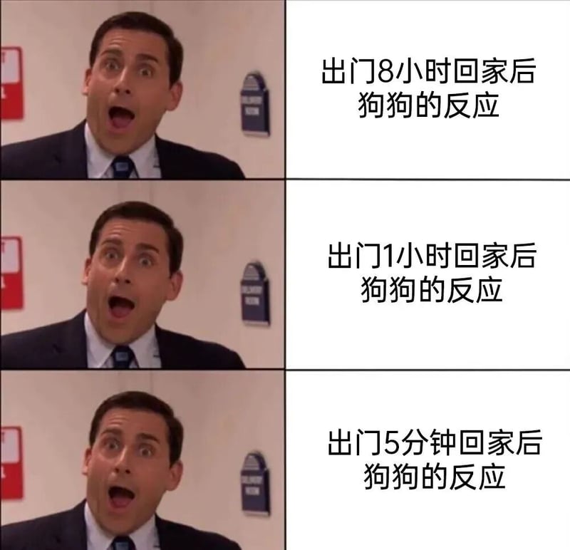 迈克尔·斯科特
