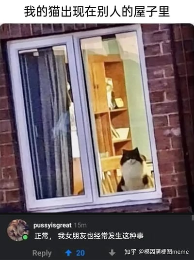 这张图是一张幽默的网络梗图，上半部分是一只猫咪隔着窗户出现在别人家里的照片，配有文字“我的猫出现在别人的屋子里”，下半部分是一条搞笑评论：“正常，我女朋友也经常发生这种事”，用拟人化和带点双关的语气制造笑点。这里“我女朋友也经常发生这种事”用于影射/玩笑地暗指女朋友像猫一样出现在别人的屋子里，有暗示意味，形成出其不意的幽默效果。

双关梗：评论中的“女朋友出现在别人屋子里”用了幽默的误导和暧昧含义，和“猫”的情节制造谐音双关和意外笑料。