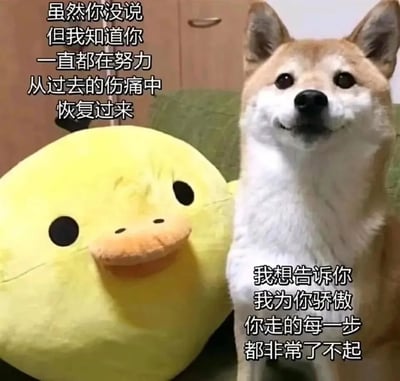 图片中是一只表情温和的柴犬和一个黄色的鸭子玩偶并排坐在一起。柴犬有着典型的棕白相间毛色，耳朵竖立，眼神真诚。黄色鸭子玩偶有着简单的黑色眼睛和橙色嘴巴，体型较大。图片上有两段鼓励性文字：左上角文字为'虽然你没说 但我知道你 一直都在努力 从过去的伤痛中 恢复过来'，右下角文字为'我想告诉你 我为你骄傲 你走的每一步 都非常了不起'。整体画面温馨治愈，通过可爱的动物形象传递出理解、支持和鼓励的情感。