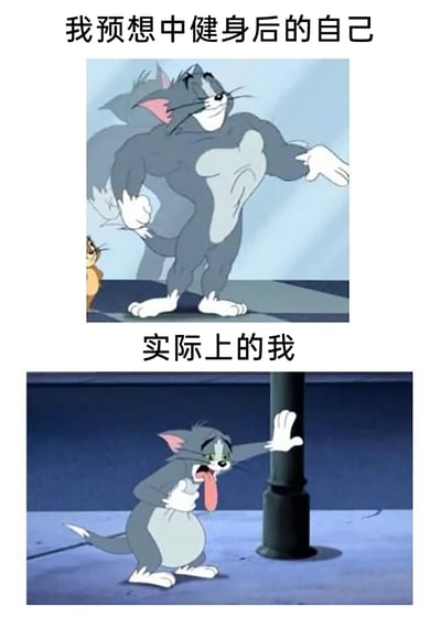 这是一张通过上下对比呈现的搞笑梗图，上方配文“我预想中健身后的自己”，展示的是经典动画《猫和老鼠》里拥有健硕肌肉、姿态自信得意的汤姆猫，看起来充满力量感；下方配文“实际上的我”，展示的是同一动画里的汤姆猫，它扶着柱子，吐着舌头，表情疲惫虚脱，肚子圆鼓，呈现出健身后疲惫不堪、毫无训练成果的状态。整幅图用理想与现实的强烈反差，生动调侃了很多人健身时预期和实际的差距，内容真实又充满趣味性。