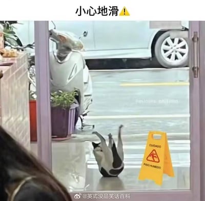 这是一张充满喜剧效果的搞笑梗图，画面中一只黑白花色的奶牛猫在光滑的室内地面上四脚朝天滑倒，姿势与旁边后期添加的“小心地滑”警示牌上的滑倒图案高度呼应。图的顶部配有中文“小心地滑⚠️”的文字，警示牌上的西班牙语“CUIDADO PISO HUMEDO”也意为“小心地滑”，猫咪的真实滑倒场景完美诠释了地面湿滑的后果，让“小心地滑”的提醒更具冲击力和趣味性。