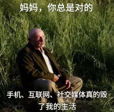 这是一张经过加字改编的梗图，整体为静态单图，采用顶配底文的图文混排形式。画面主体是一位头发花白的老年男性坐在茂盛的绿色草丛中，侧脸看向画面右方，神态怅然。图上方配文“妈妈，你总是对的”，下方配文“手机、互联网、社交媒体真的毁了我的生活”，表达了当代人被各类数字产品影响打乱生活节奏后，终于醒悟此前长辈的劝诫十分正确的懊悔、无奈情绪，很容易引发网友共鸣。