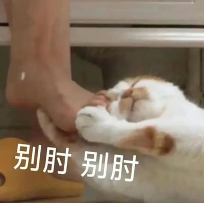 一只橘白相间的猫咪仰卧在地，用两只前爪轻轻推开一只靠近的人类脚。猫咪表情略显无奈，仿佛在拒绝被打扰。图片下方配有文字“别肘 别肘”，以拟人化的方式表现猫咪似乎在说“别用手肘碰我”，形成一种可爱又幽默的效果。