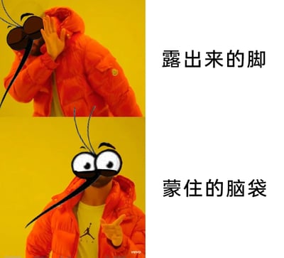 这是一张上下对比的P图，改编自网络流行的捂头伸手梗图。图中给人物添加了卡通蚊子的形象，上方图中人物捂头，对应文字“蒙住的脑袋”，蚊子以墨镜遮眼；下方图中人物伸手露出胸口，对应文字“露出来的脚”，蚊子瞪大双眼。用这种反差来调侃蚊子的迷惑叮咬行为——明明露出的脚更容易成为叮咬目标，蚊子却专叮蒙住脑袋的人，制造出搞笑效果，戳中人们被蚊子叮咬的日常共鸣。