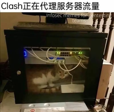 一张幽默的网络安全梗图，展示了一个服务器机柜内部，各种网络设备和网线之间竟然蜷缩着一只猫。机柜内的设备亮着绿色指示灯，显示设备正在运行。图片上方配有文字“Clash正在代理服务器流量”，通过猫“物理上”位于服务器设备之间的有趣画面，幽默地比喻Clash代理软件在服务器网络中的作用。