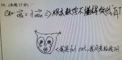 图片展示了一张手写的数学题解题纸，顶部标注'19. (本题 17 分)'，下方手写内容为'已知: 向量 on = 100向量 on ⇒ 根本数学不懂得放弃了'，表达了对数学题的无奈与放弃。中间偏下位置有一个简笔画风格的猫脸涂鸦，眼睛大而圆，带有睫毛和胡须，造型可爱。猫脸右侧配有文字'我是fat cat, 我同意给我分'，整体风格幽默自嘲，反映了学生面对难题时的摆烂心态。