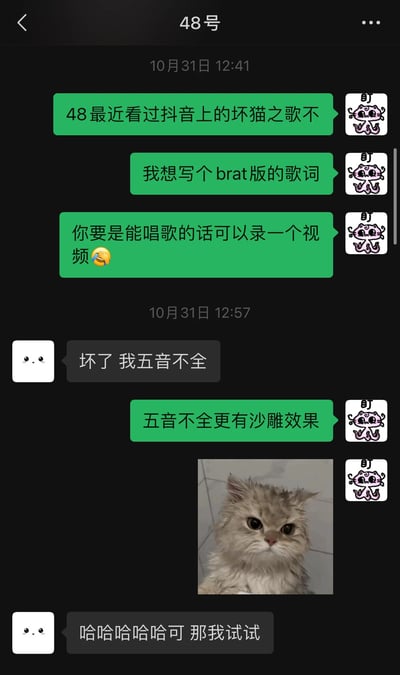 这是一张聊天记录截图，显示了两个人关于改编抖音上《坏猫之歌》歌词的对话。绿色气泡用户提议创作一个brat版歌词，并建议对方录制演唱视频，即使对方表示自己五音不全，仍幽默地表示"五音不全更有沙雕效果"。对话中还包含一张猫的照片，最终对方同意尝试录制。整个对话充满轻松搞笑的氛围。