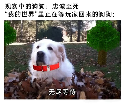这张梗图通过对比现实中的狗狗和《我的世界》游戏中的狗狗，展现了不同场景下的忠诚表现。上方文字写道："现实中的狗狗：忠诚至死"和"我的世界里正在等玩家回来的狗狗："，下方图片中一只戴着红色项圈的白色狗狗坐在落叶中，背景有像素风格的树木，底部配有"无尽等待"文字，幽默地表现了游戏中狗狗永远等待玩家回归的设定。