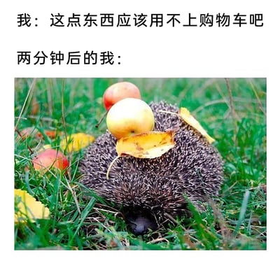 这是一张图文混排的趣味梗图，整体分为上下两部分，上方是两段文字，第一段为“我：这点东西应该用不上购物车吧”，表现出购物初期认为自己购买量很小、无需购物车的心态；第二段为“两分钟后的我：”，下方搭配一张实拍的刺猬图片，刺猬趴在绿色草地上，背上的尖刺扎着两个苹果和几片黄色落叶，仿佛“驮”了不少物品。这张图通过文字和画面的强烈反差，生动调侃了很多人购物时的真实状态——原本计划只买少量商品，结果很快就忍不住选购了远超预期的物品，精准戳中大众的购物共鸣。