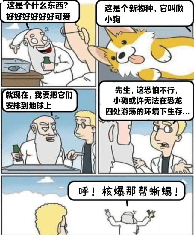 柯基犬