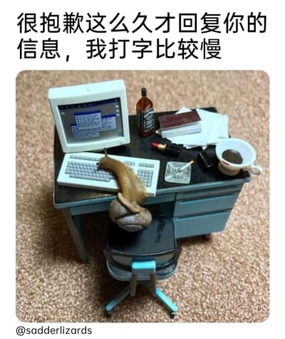 这是一张充满趣味的创意摆拍梗图，画面呈现了一个迷你版的杂乱职场办公场景：一张小办公桌上摆放着老式CRT电脑、键盘，还有酒瓶、喝剩的咖啡杯、带烟蒂的烟灰缸、口红、文件等物品，营造出忙碌又略带颓废的工作氛围。一只真实的蜗牛趴在迷你办公椅上，将自己的软体部分搭在键盘上，模仿人类打字的姿态。图片上方配有文字“很抱歉这么久才回复你的信息，我打字比较慢”，利用蜗牛行动极其缓慢的生物特性，幽默地将其作为回复消息延迟的借口，通过动物拟人化的荒诞创意，调侃了日常中回复消息拖沓的情况，整体风格搞笑又解压，适合作为迟复消息时的趣味回应素材。