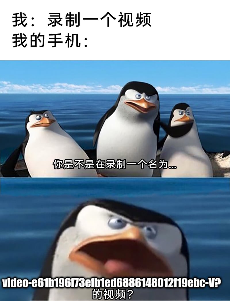 马达加斯加企鹅
