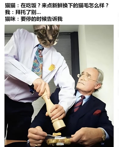 图片展示了一个幽默场景：一个戴着猫脸的人正拿着胡椒研磨器，往一位西装革履的老人的食物里添加东西。上方文字模拟了猫咪和人类的对话，猫咪调皮地要往人类食物里加猫毛，人类则显得无奈。通过人脸替换的P图方式，生动展现了养猫家庭常见的猫毛困扰，用幽默手法表达了猫咪调皮捣蛋的特性。
