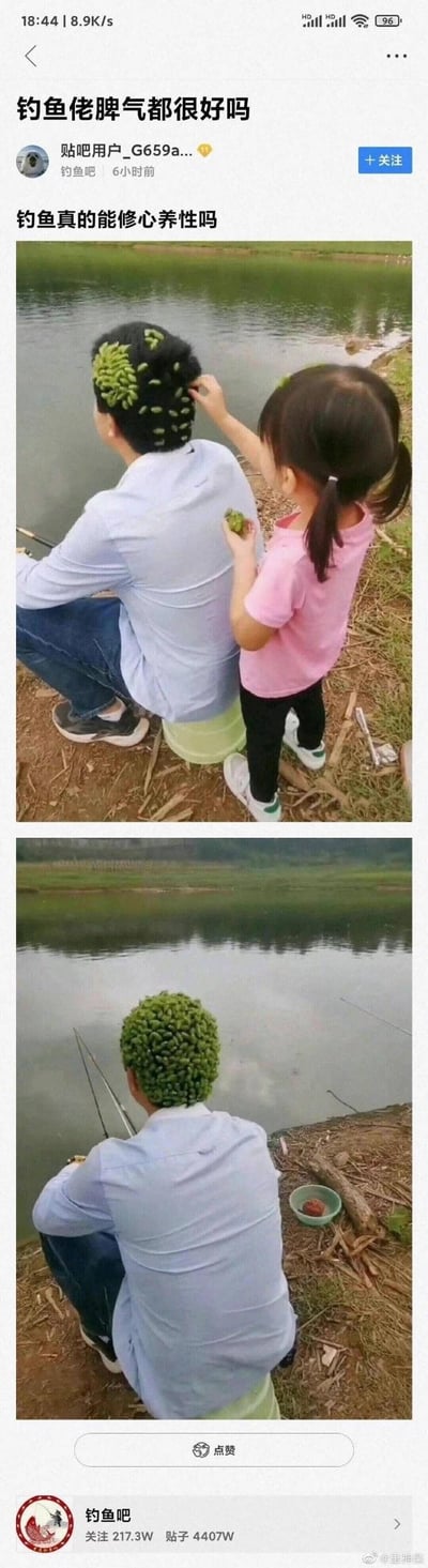 两张拼接的户外照片，展现了钓鱼场景中的温馨搞笑瞬间。上图中，一位穿浅蓝色衬衫的男子正坐在湖边钓鱼，身后扎着双马尾的小女孩（穿粉色上衣）踮脚伸手，将手中的绿色植物（疑似树叶或小果实）放置在男子的头顶；下图中，男子头顶已被小女孩“种”满绿植，形成一个绿色的“盆栽发型”，而他依旧保持钓鱼姿势，神情平静专注。图片通过女儿的调皮和爸爸的包容，幽默诠释了“钓鱼修心养性”的主题，展现了亲子间的趣味互动。