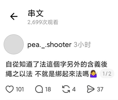 这是一张社交媒体平台的帖子截图，帖子所在合集标题为“串文”，总观看量为2699次。发布者用户名为pea._.shooter，发布时间为截图生成的3小时前。帖子主体内容为一段繁体中文谐音段子：“自从知道了“法”这个字另外的含义后，绳之以法 不就是绑起来法吗”，后缀搭配一个双手举在脸颊旁的惊讶女性emoji，帖子右下角标注是该内容的第1页，共2页。帖子下方的互动数据显示，该帖获得101次点赞、18条评论、4次转发、37次分享。