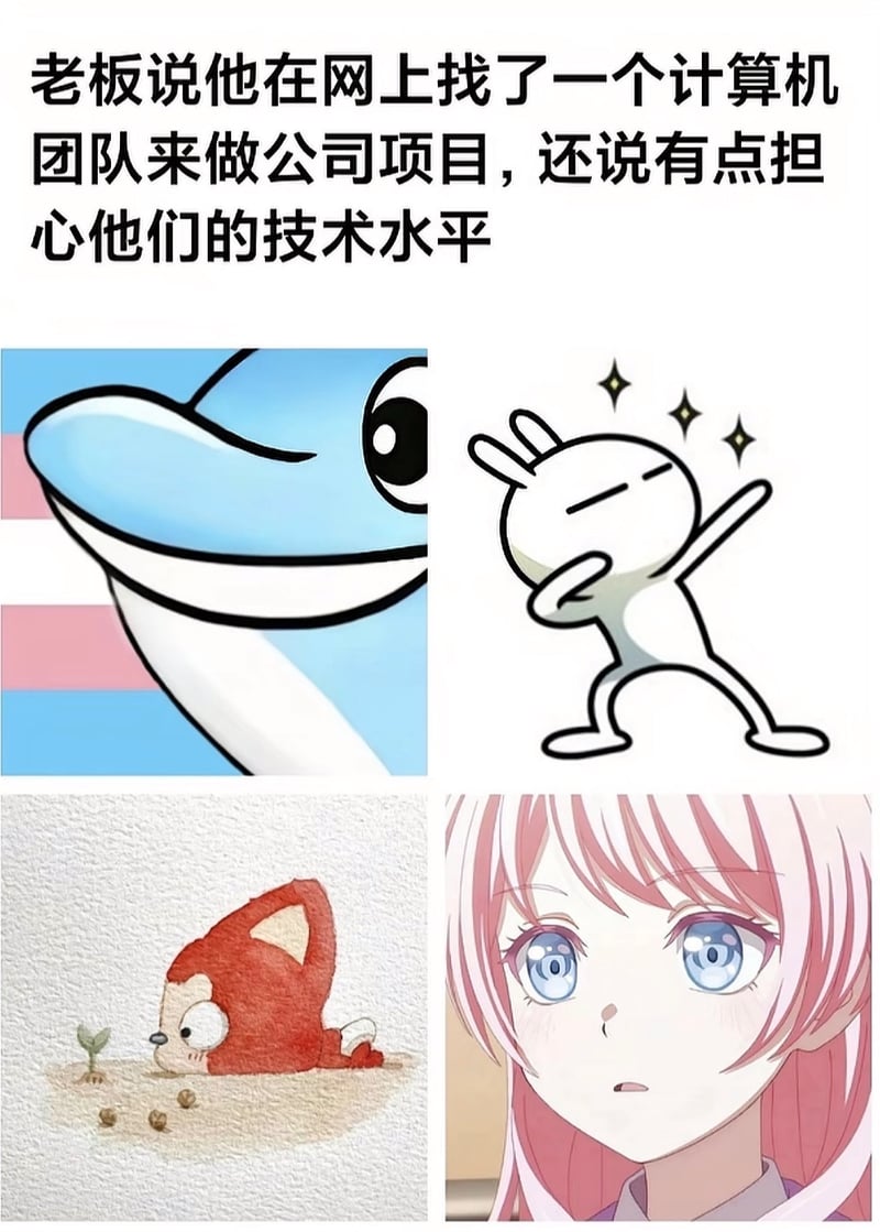 IT圈层梗