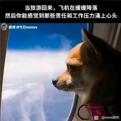 这是一张能引发职场人强烈情绪共鸣的文字加注类静态单图，画面主体是一只吉娃娃宠物狗，它趴在飞机的舷窗边，神情低落、眼神忧郁，满脸惆怅地望向窗外的云层。图的上方配有两行文字：“当旅游回来，飞机在缓缓降落，然后你能感觉到那些责任和工作压力涌上心头”，将狗狗的低落神态与职场人旅游结束返程时，即将从放松的假期状态回归到充满压力的工作生活的惆怅、低落心情相绑定，用拟人化的方式精准戳中当代职场人的情绪痛点，极易引发同类群体的共鸣。