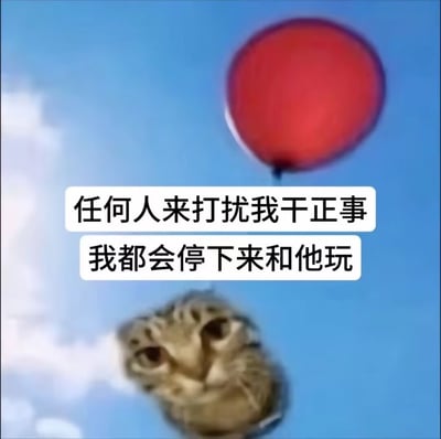 图片背景为蓝天白云，上方漂浮着一个红色气球，下方是一只猫咪的脸部特写，猫咪正抬头专注地注视着气球。图片中间叠加两行白色文字：'任何人来打扰我干正事 我都会停下来和他玩'，通过猫咪对气球的好奇反应，幽默形象地表达了人们容易被干扰、无法专注于正事的状态。