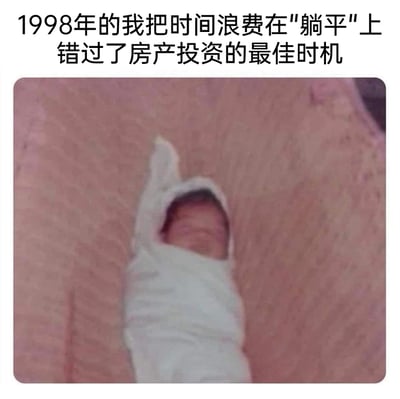 这是一张充满自嘲意味的网络梗图，利用视觉错位效果，将手指上缠绕的绷带伪装成裹在襁褓里、躺卧着的婴儿；搭配上方的文字“1998年的我把时间浪费在'躺平'上，错过了房产投资的最佳时机”，以1998年刚出生的自己只能被动“躺平”在襁褓里的事实，玩起自嘲梗，调侃自己错过了当年的房产投资红利期，用夸张的视觉错觉放大了事后遗憾的搞笑情绪，精准戳中大众对错过时代红利的共鸣点。