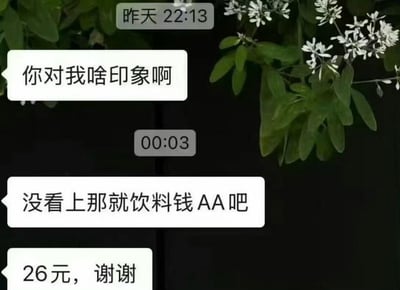 这是一段相亲后的手机聊天记录截图，对话流程如下：一方在昨日22:13询问对方「你对我啥印象啊」，对方回复了一条3秒的语音后，询问方立刻连发两条消息：「没看上那就饮料钱AA吧」「26元，谢谢」。整个对话将相亲场景里的直白与现实感拉满，没有双关、谐音梗或暗示内容，直白的金钱结算让场景充满尴尬又真实的氛围。