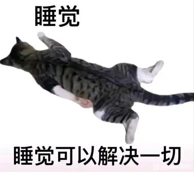 这是一张顶配底文式的静态单图，画面主体是一只仰躺着、四肢完全放松摊开的狸花猫，姿态慵懒随性，看起来正处于熟睡状态。图片上方配有醒目的文字“睡觉”，下方配有文字“睡觉可以解决一切”，用猫咪摆烂式的熟睡画面搭配直白的文字，传递出一种逃避现实、用睡觉来消解生活或工作中烦恼的情绪，是当代年轻人面对压力时的自嘲式表达，图中没有双关、谐音梗或暗示类内容。