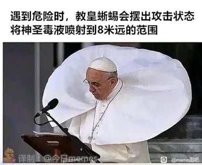 这是一张P图改编的静态趣味梗图，创作者将天主教教皇方济各的公开活动照片进行修改，把他头部周围的服饰P成了伞蜥展开的标志性颈伞形态，同时在图片顶部配上恶搞文字“遇到危险时，教皇蜥蜴会摆出攻击状态将神圣毒液喷射到8米远的范围”，将教皇形象与伞蜥的生物特征结合，创造出“教皇蜥蜴”的搞笑拟人化设定，通过反差感和荒诞的设定制造幽默效果。图片左下角带有“译制|@今日memes”的水印，右下角则有“@meme图吧”的水印，表明了译制和传播的相关账号。