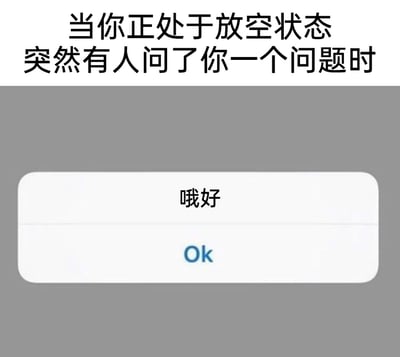 这是一张极具共鸣感的网络梗图，上方用文字明确场景：“当你正处于放空状态突然有人问了你一个问题时”，下方呈现模仿APP弹窗确认框的UI界面，包含“哦好”和“Ok”两行文字，精准还原了人在大脑放空、对问题毫无反应的状态下，下意识给出的敷衍、不走心的回应，用简洁的形式生动刻画了走神被打断时的迷糊应付瞬间，能让很多有类似经历的人产生强烈共鸣。